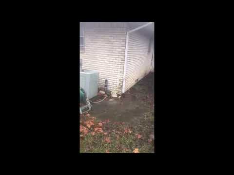 Thumbnail for Yard Drainage And French Drains In Richardson, Plano,  North Dallas, And Collin County