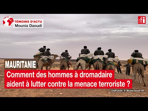 Mauritanie: comment des hommes à dromadaire aident à lutter contre la menace terroriste ? • RFI