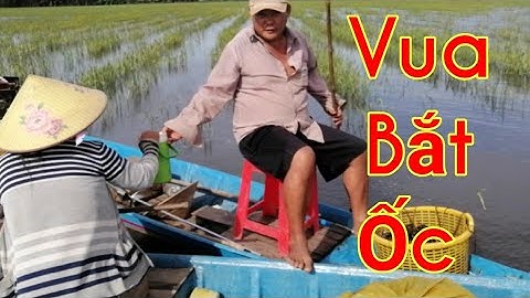 bắt ốc xinh tồn mùa nước nổi