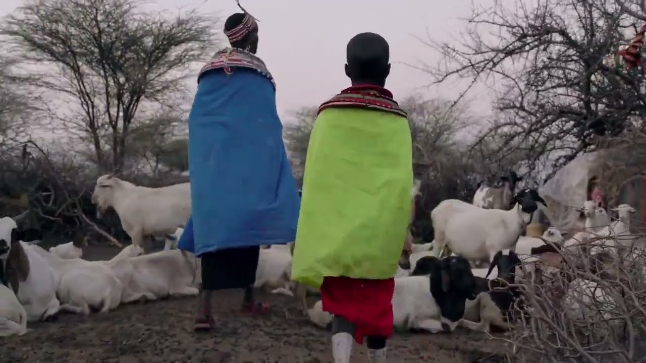 Eloi - @pilazpilonje ( Instrumental )