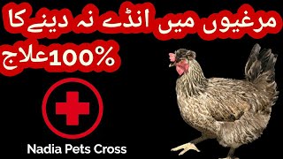 Murgi Ke Ande Dene Ka Ilaj. Murgi Ke Ande Dene Ka Tarika. Treatment of Chicken Eggs Deficiency Urdu