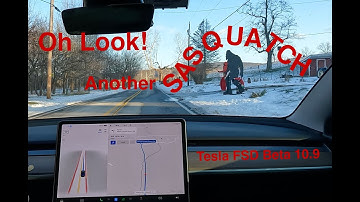 Tesla FSD Beta 10.9 - Oh look, another Sasquatch!