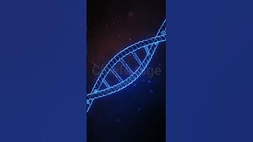 Spinning DNA Molecule on Gradient Background stock footage | stock video | Cinefootage