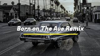 born on the ave remix | 90s hip hop | 90s east coast | 90s g-funk