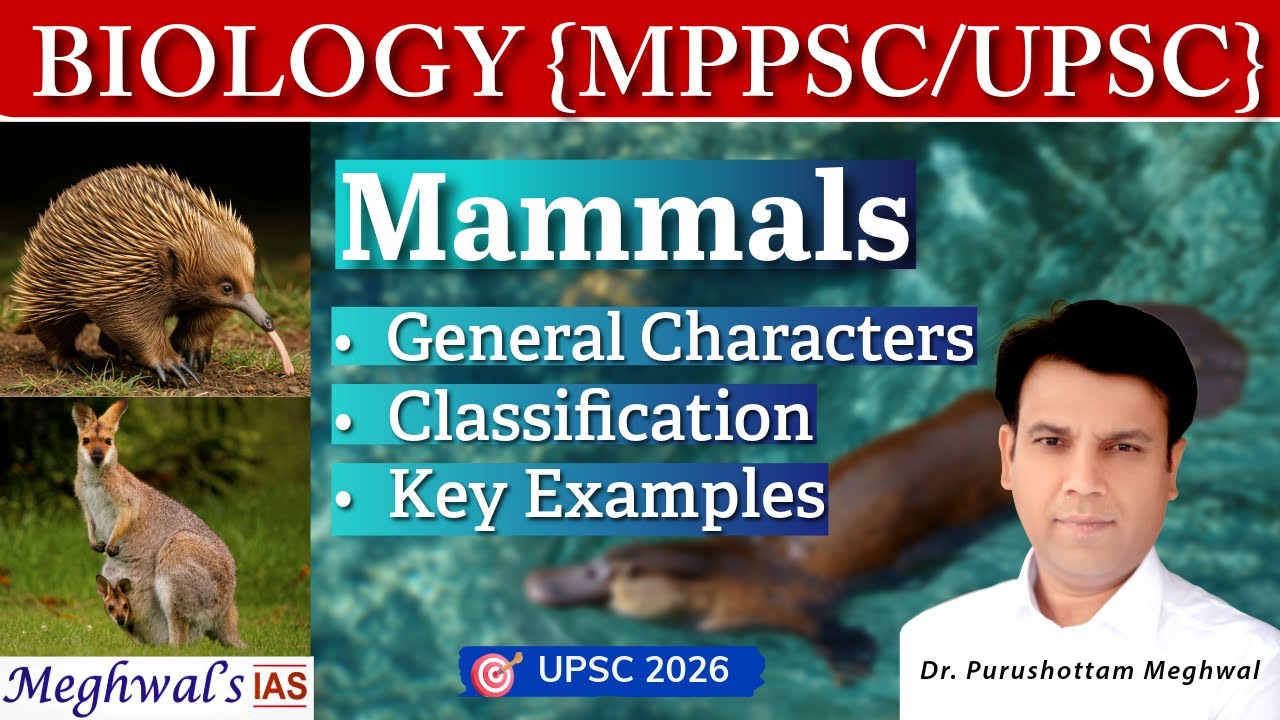 Mammals Explained | General Characters, Classification and Examples | Biology | UPSC