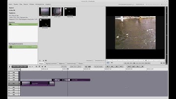 Вставка титров в программе «Flowblade»
