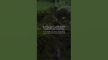 أجمل حالات واتس اب قرآن كريم بصوت جميل جدا | صوته فيه كمية راحه Quran status 🌧💙.