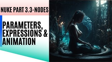 Nuke part 3.3 - Node | PARAMETERS, EXPRESSIONS & ANIMATION