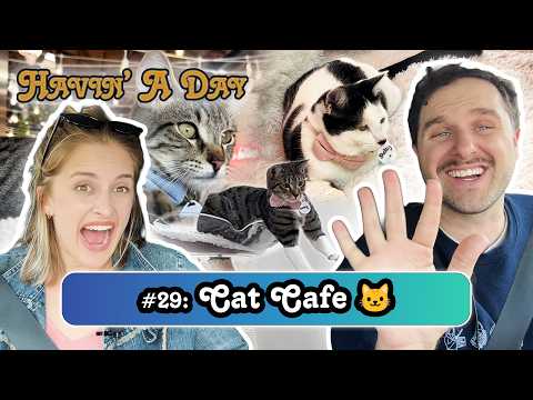Kylie Brakeman Goes To A Cat Cafe | Havin' A Day with Patrick McDonald