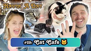 Kylie Brakeman Goes To A Cat Cafe | Havin' A Day with Patrick McDonald