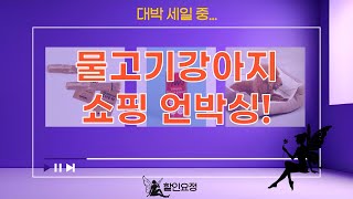 물고기강아지 행복 쇼핑! 아로와나 사료, 방석, 간식, 이갈이 장난감 언박싱!