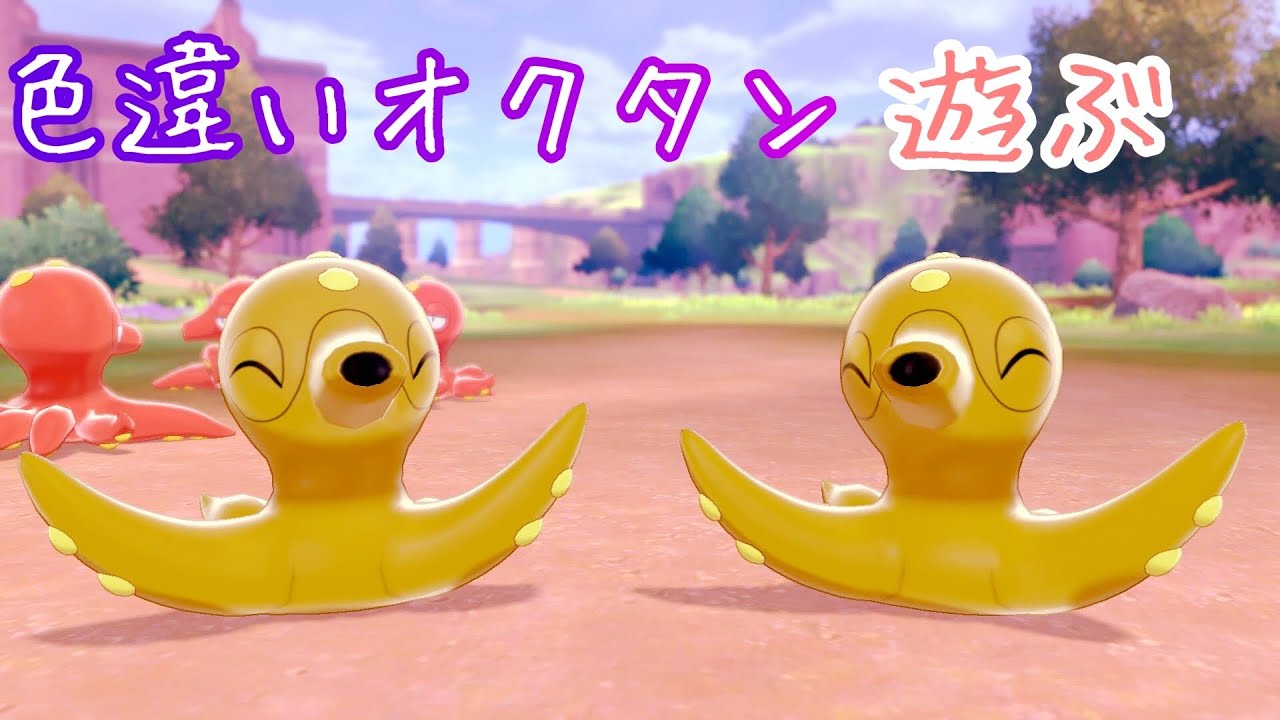 ポケモンキャンプ 21 色違いオクタンと遊んだらめちゃくちゃ可愛いかった件 Shiny Pokemon Youtube