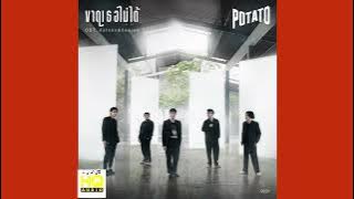 ขาดเธอไม่ได้ - Potato (HQ audio)