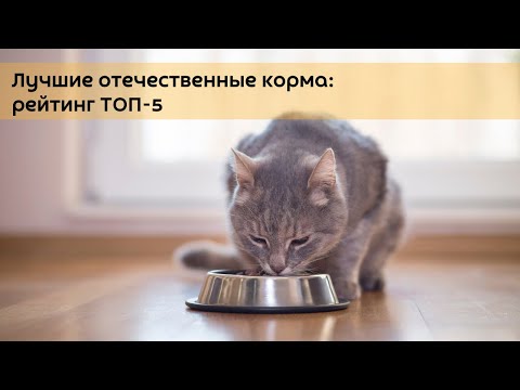 Лучшие российские корма для кошек и собак: рейтинг топ-5