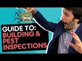 Building & Pest Inspections [7 Things You Need To Know]