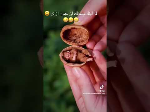 لما ابنك يسالك انا جيت ازاي
