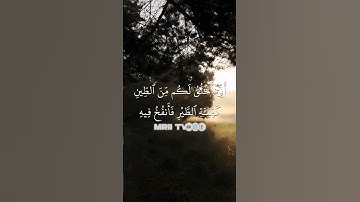 ماهر المعيقلي - سورة آل عمران ( برواية حفص عن عاصم ) الأية 49