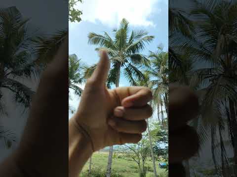 twinss. #trending #viral #dance #youtubeshorts #foryou #youtube #shorts #shortvideo #musthave