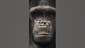 How Did Life on Earth First Begin?