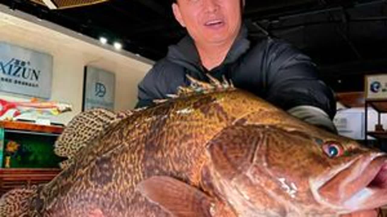 武汉钓友的“豪礼”，钓鱼佬终极梦想，超20斤大鳜鱼顺利入缸！ 收下的是鱼，也是沉甸甸的江湖情义，当然这份情也只是开始，未来也必须用我的方式还回去！#原来钓鱼才是抖音运动顶流 #大鳜鱼 #鳜鱼 #豆鱼