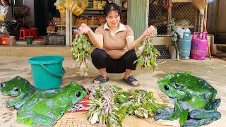 Frog hunting! Lots of Wild Frogs, Use them as Food and sell them - Daily life in the forest by Pham Tâm 1,482 views 1 month ago 30 minutes