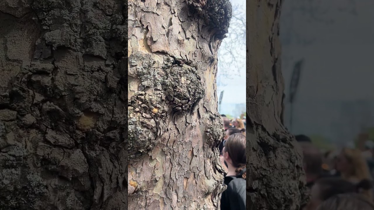 HANDS OFF Indivisible protest - April 5 2025 ❤️‍🔥🇺🇸