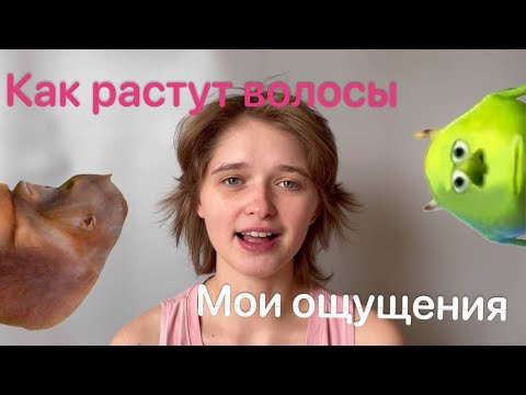 Как растут волосы после БРИТЬЯ НАЛЫСО | Мои ощущения | Рыська ^.^