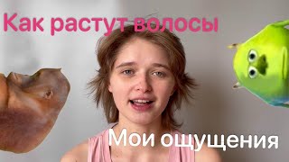 Как растут волосы после БРИТЬЯ НАЛЫСО | Мои ощущения | Рыська ^.^