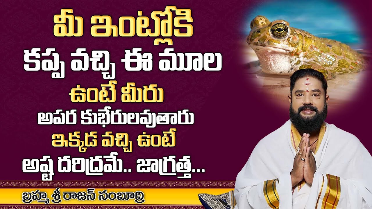 ఈ మూలకి కప్ప వస్తే అపర కుబేరులవుతారు - Telugu Unknown Facts - Mr Venkat Tv