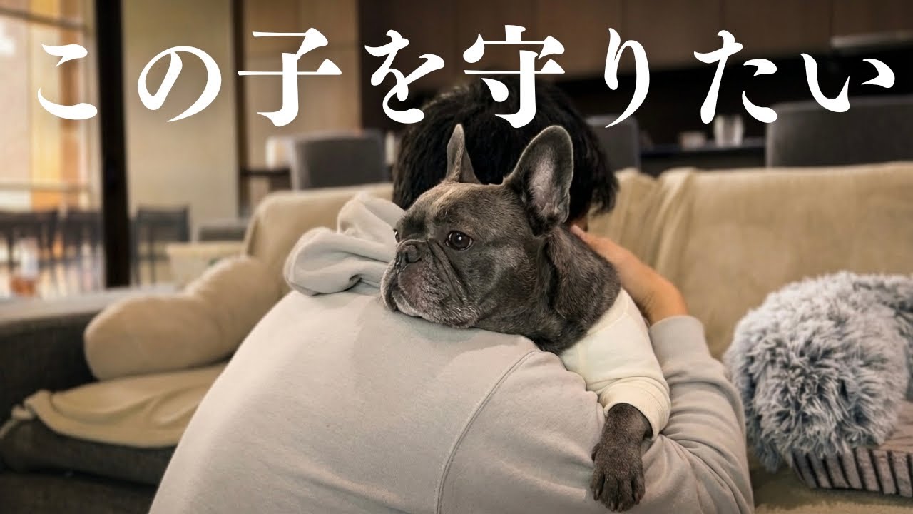 【ご報告】恐れていた全身麻酔の手術を受けました