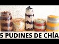 5 PUDINES DE CHÍA FÁCILES Y SABROSONES