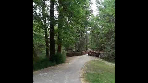 CISSP 2 33 biometrics 1 20230519 082537