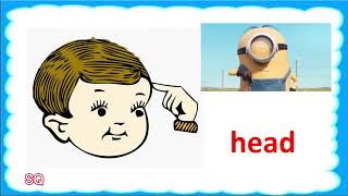 Tiny Talk 2B - Unit 9 - L1 - Learn some body parts (head, hand, tummy, leg, foot)
