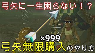 【ティアキン】弓矢を無限に手に入れる方法！！【ゼルダの伝説ティアーズオブザキングダム】