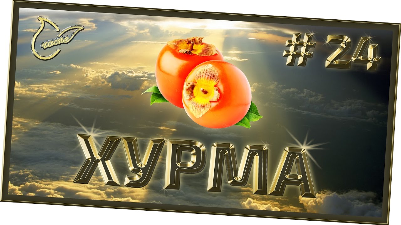 хурма вяжет рот картинка
