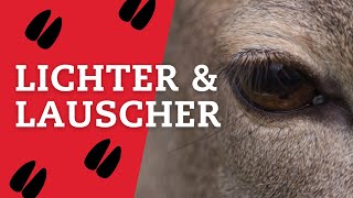 Jägersprache Kurzknapp Wilde Begriffe