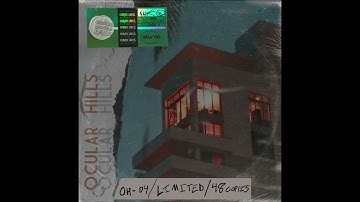 OH-04 THE WILD F 110BPM - (obscure, ultra rare song, sample / loop pack)