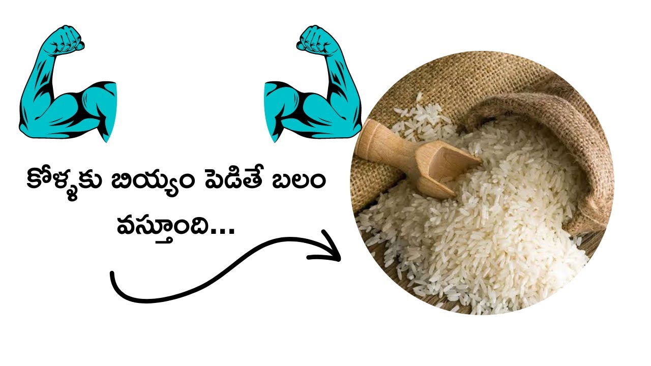 కోళ్లకు నేను ముడి బియ్యము వాడుతున్నాను...చాలా ఆరోగ్యకరం ఇది.. | ssbf | Sri Srinivasa breeding farm