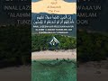 Quran: Al Baqarah 2:6 Verse 6 #shorts #quran #islam #quranrecitation