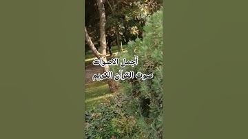 قران كريم بصوت جميل للشيخ سعود الشريم سورة الحج ♥️😍🤲قران كريم #المصحف #اكسبلور #راحة_نفسية