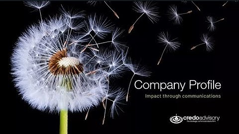 Credo Company Profile Video