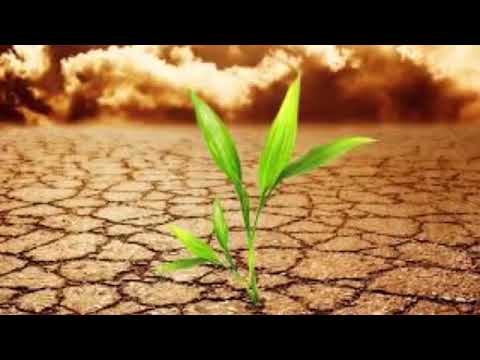 دعاء طلب الغيث