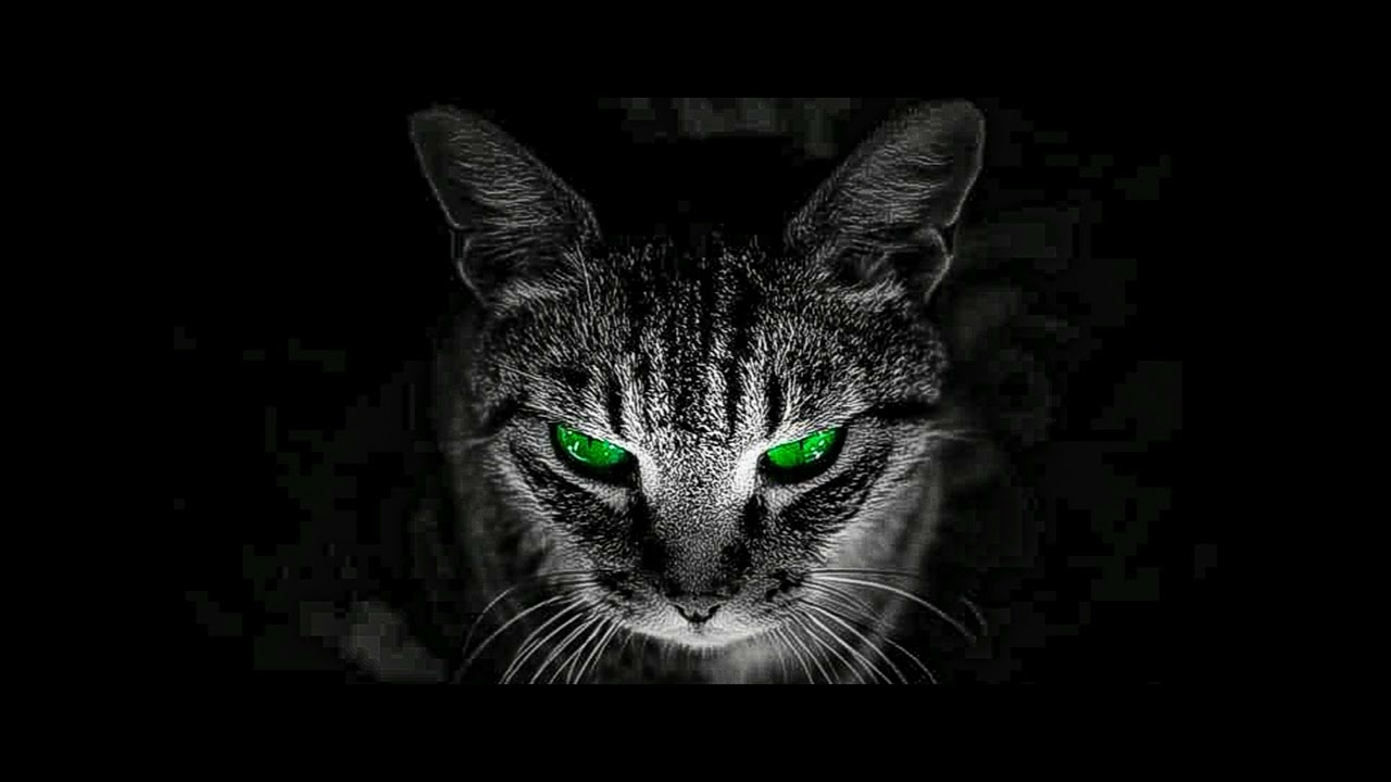 Omer Gigi - Midnight Memories (Relaxing Set)