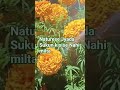 Khubsurat Garden