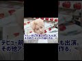 【メンバー紹介】PENTAGON メンバー紹介 フイ編