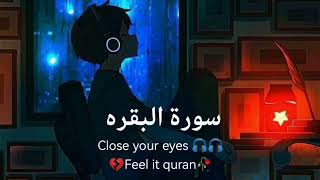 beautiful quran recitation • feel the quran recitation | slowed and reverb | #recitation#quran#quran