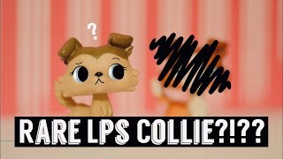 LPS: Unboxing Rare LPS Collie!