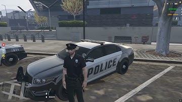 MDT Police