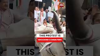 VIRAL VIDEO | Delhi Fuel Price Protest Shocks Commuters as Bullock Cart Scene Goes Viral #fuelprices