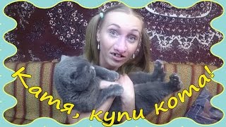 Как продать кота быстро / Катя, купи кота! // Как продать кота быстро / Катя, купи кота! //